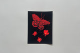 Prints by Sunny Taiyang Chen