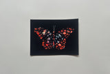 Prints by Sunny Taiyang Chen
